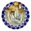 Mexi Cub Premium mushrooms