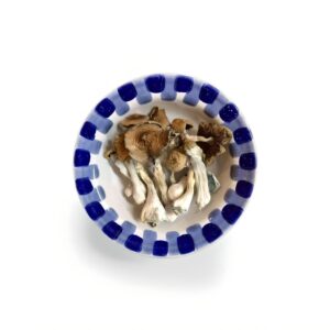 blue meanie mushroom