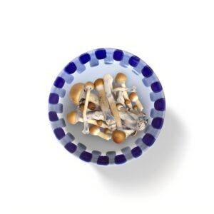 Ecuador Premium mushrooms