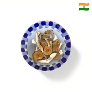 orissa india mushroom