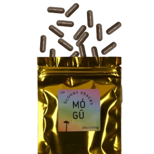 mushroom microdose capsules