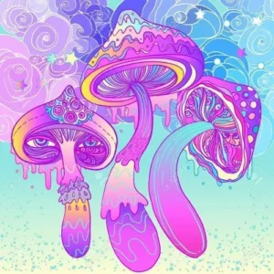 hippie flipped